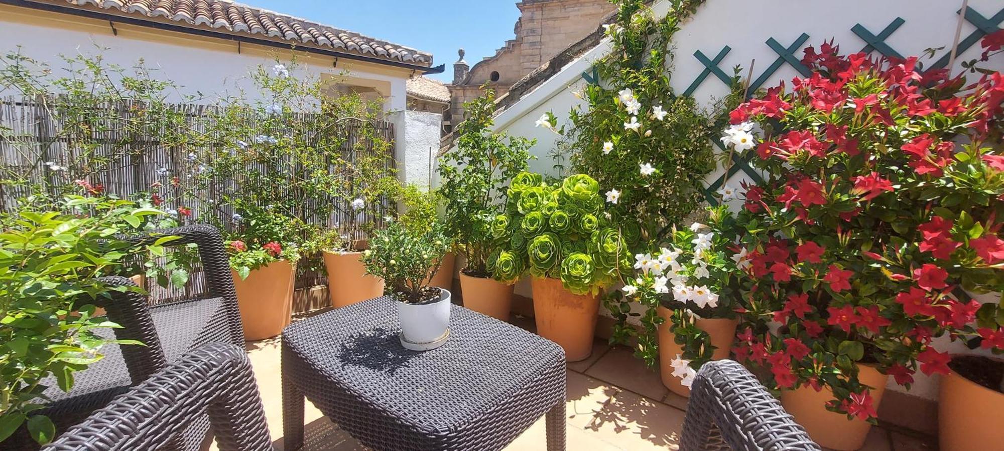 Apartamentos Los Descalzos Angel With Private Terrace Free Parking Ronda Exteriér fotografie