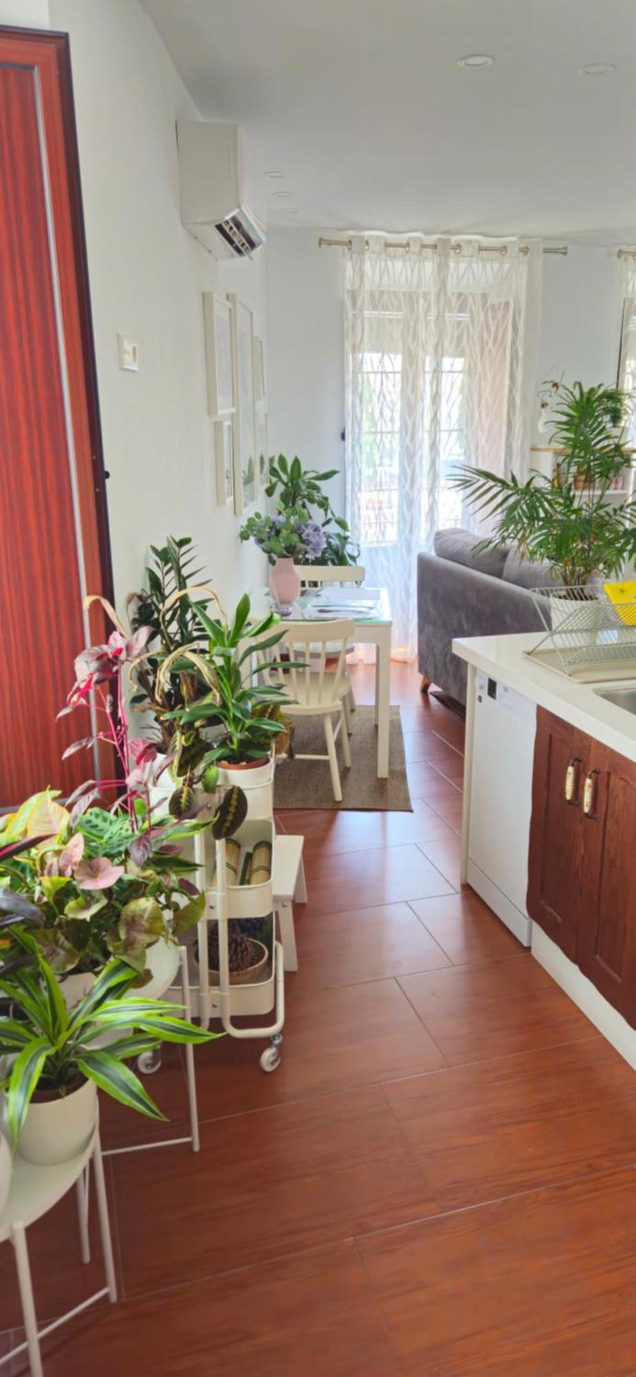 Apartamentos Los Descalzos Angel With Private Terrace Free Parking Ronda Exteriér fotografie