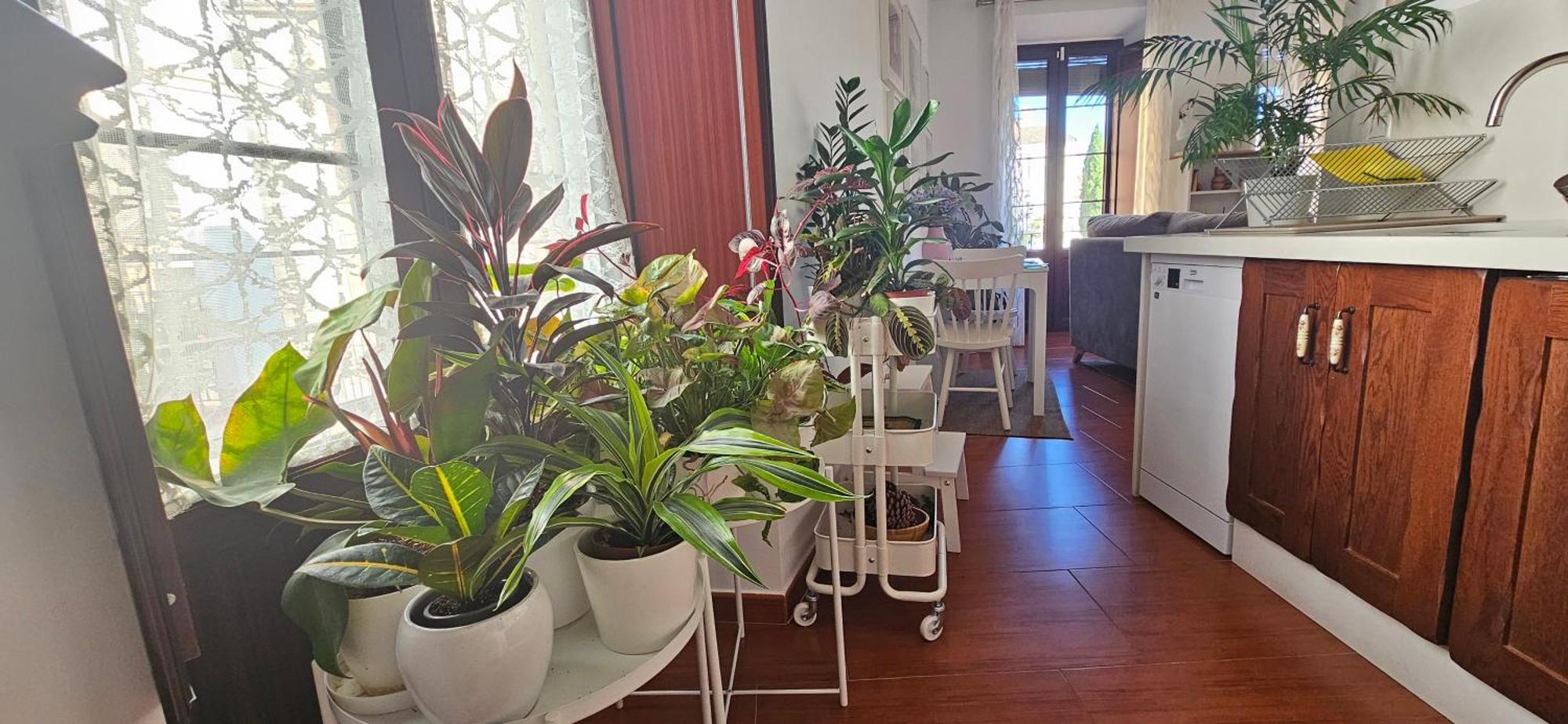 Apartamentos Los Descalzos Angel With Private Terrace Free Parking Ronda Exteriér fotografie