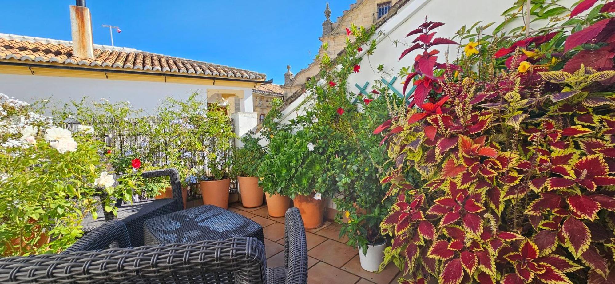 Apartamentos Los Descalzos Angel With Private Terrace Free Parking Ronda Exteriér fotografie